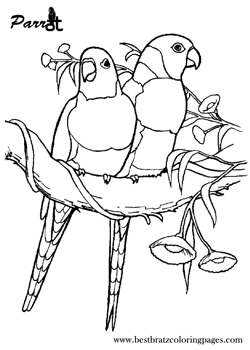 Free Printable Parrot Coloring Pages For Kids Lapa 800x1120 Free Printable Parrot Coloring Pages For Kids Lapa