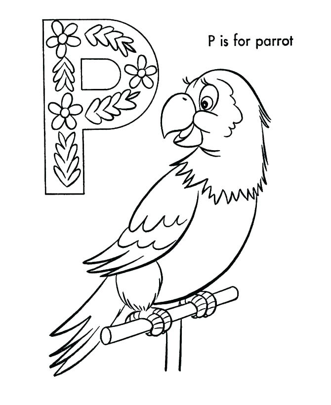 Parrot Coloring Page Parrots Coloring Pages Macaw Coloring Pages 670x820 Parrot Coloring Page Parrots Coloring Pages Macaw Coloring Pages