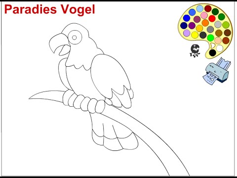 Parrot Coloring Pages For Kids 480x360 Parrot Coloring Pages For Kids