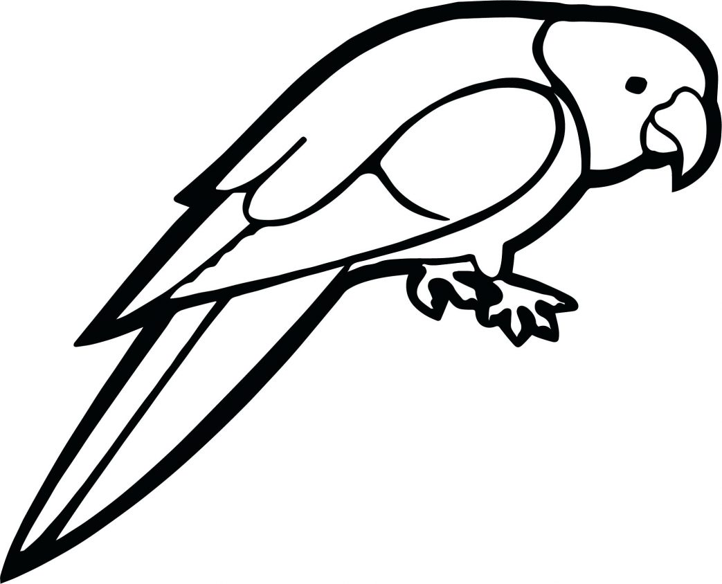 Parrot Coloring Pages For Preschoolers Red Amazon Page Stunning 1043x844 Parrot Coloring Pages For Preschoolers Red Amazon Page Stunning
