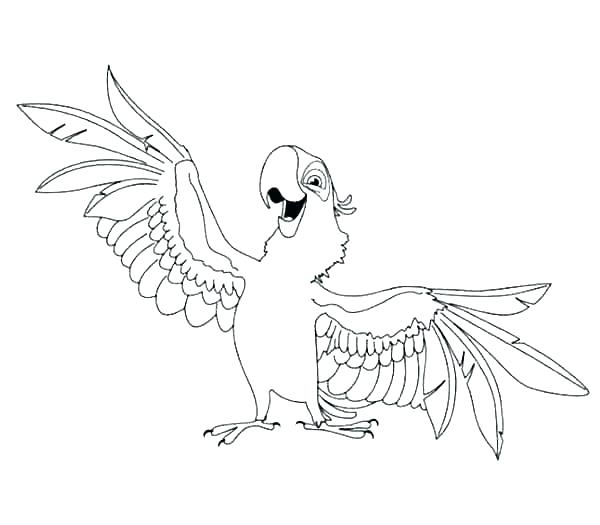 Parrot Coloring Pages Little Parrot Coloring Page Cartoon Parrot 600x525 Parrot Coloring Pages Little Parrot Coloring Page Cartoon Parrot
