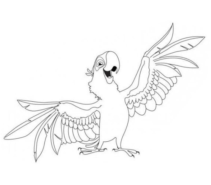Parrot Coloring Pages Printable 800x700 Parrot Coloring Pages Printable