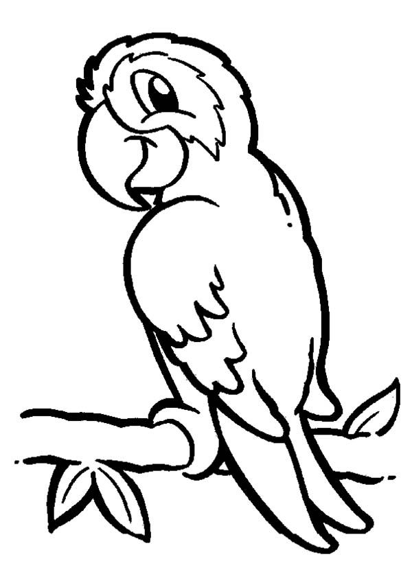 Cartoon Parrot Coloring Pages 1999259 600x849 Cartoon Parrot Coloring Pages 1999259