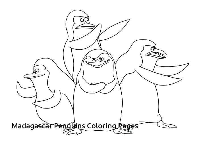 700x500 Penguin Coloring Pages For Those Have Happy Feet Emperor Penguin