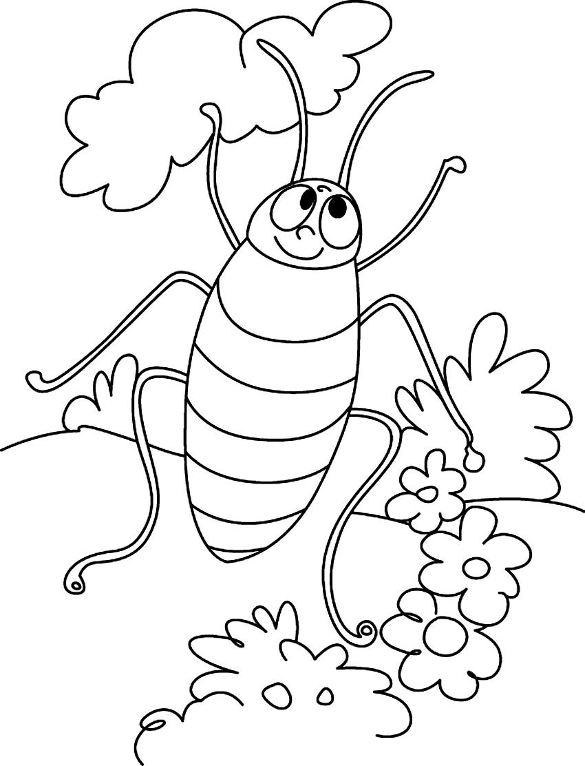 850x1112 Free Printable Cockroach Coloring Pages For Kids