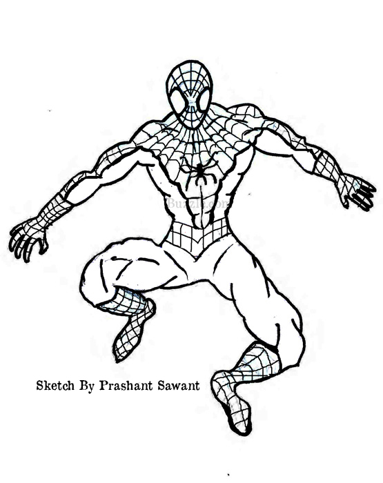 555x700 Spiderman Cartoon Coloring Pages