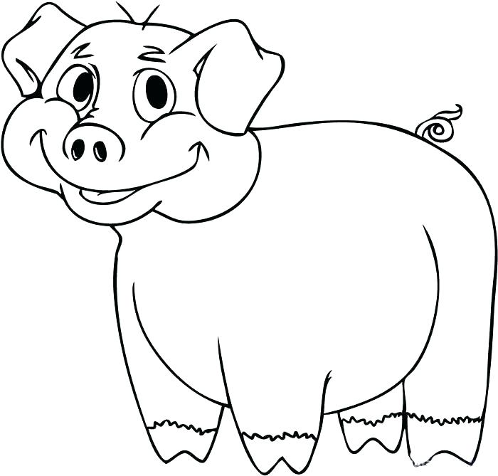 Cartoon Pig Coloring Pages Pig For Coloring Cartoon Pig Coloring 700x669 Cartoon Pig Coloring Pages Pig For Coloring Cartoon Pig Coloring