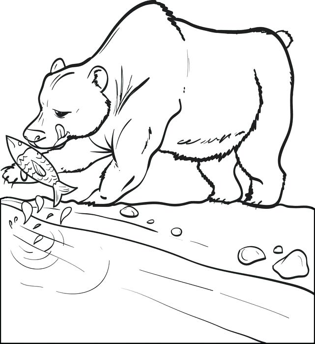 641x700 Polar Animal Colouring Pages Arctic Coloring Pages Arctic Animal