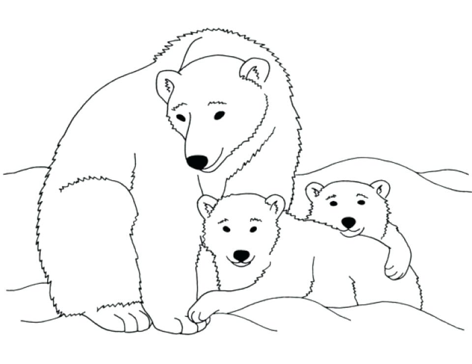 960x740 Polar Bear Coloring Pages Large Size Of Polar Bear Coloring Page