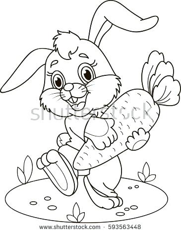 365x470 White Rabbits Color Book Plus Coloring Page Outline Of Cartoon