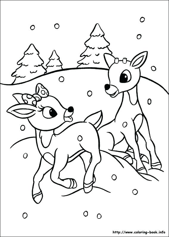 567x794 Reindeer Coloring Pages Reindeer Coloring Page Rudolph Reindeer