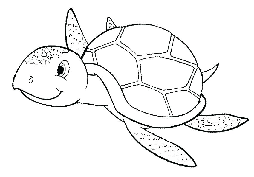 850x594 Coloring Pages Turtle Cute Turtle Coloring Pages Coloring Pages