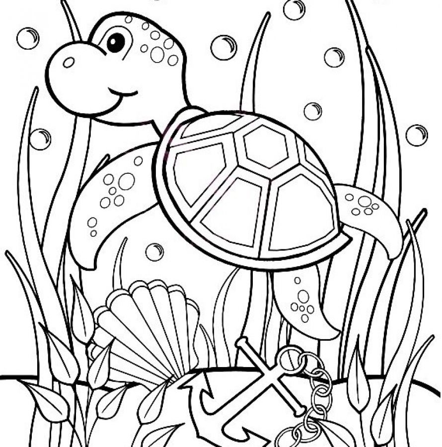 890x900 Online Turtle Coloring Pages For Kids Animal Coloring Pages