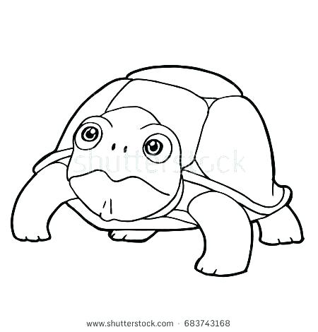 450x470 Sea Turtle Coloring Page Also Turtle For Coloring Cute Turtle