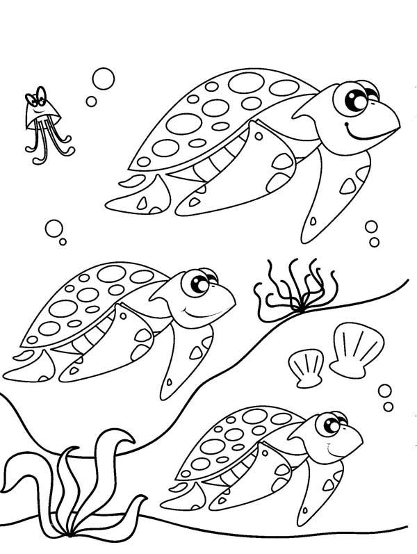 600x797 Sea Turtle Coloring Pages 360coloringpages