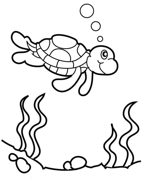 600x764 Sea Turtle Bubble Free Coloring Page