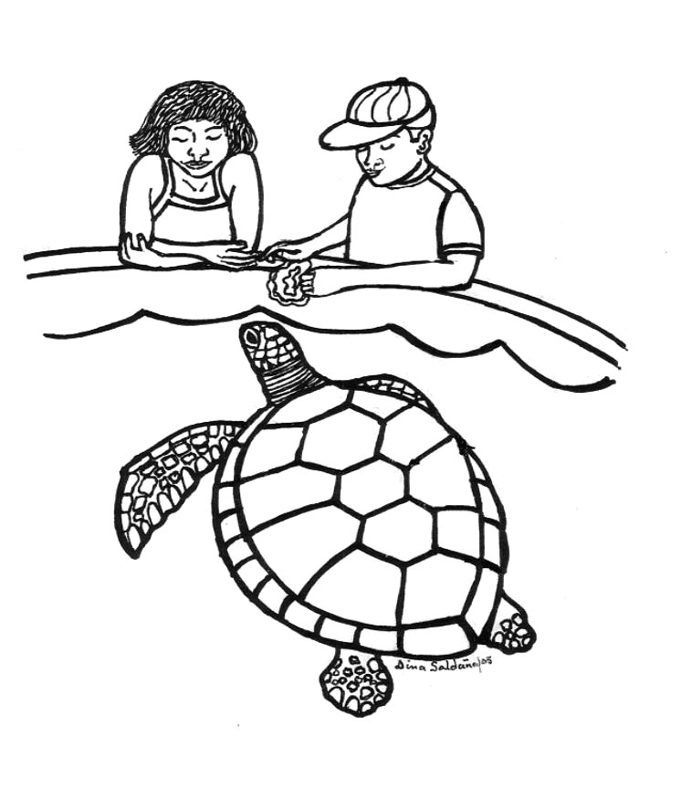 746x876 Sea Turtle Clipart Coloring Page