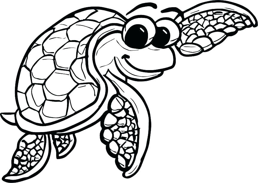 863x611 Turtles Coloring Page