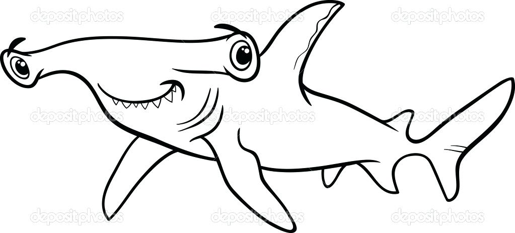 1023x463 Hammerhead Shark Coloring Page 2