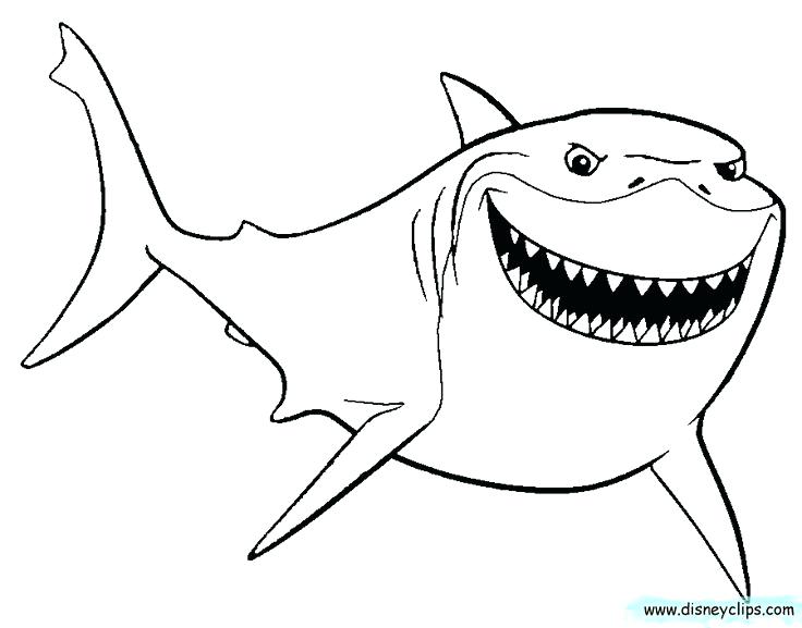 Cartoon Shark Coloring Pages at GetColorings.com | Free printable