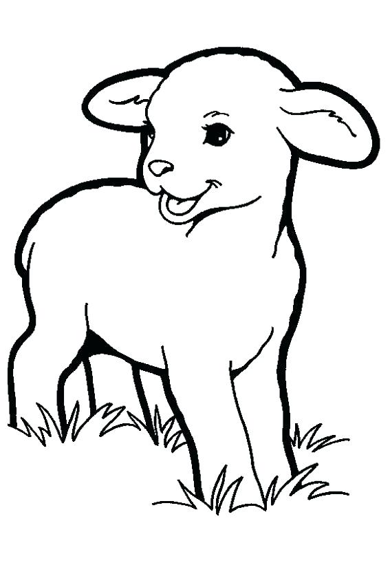 567x850 Sheep Coloring Pages Lamb Coloring Page Sheep Com Inside Decor 7