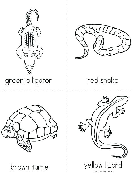 468x605 Reptile Coloring Page Reptiles Coloring Pages Cartoon Snake