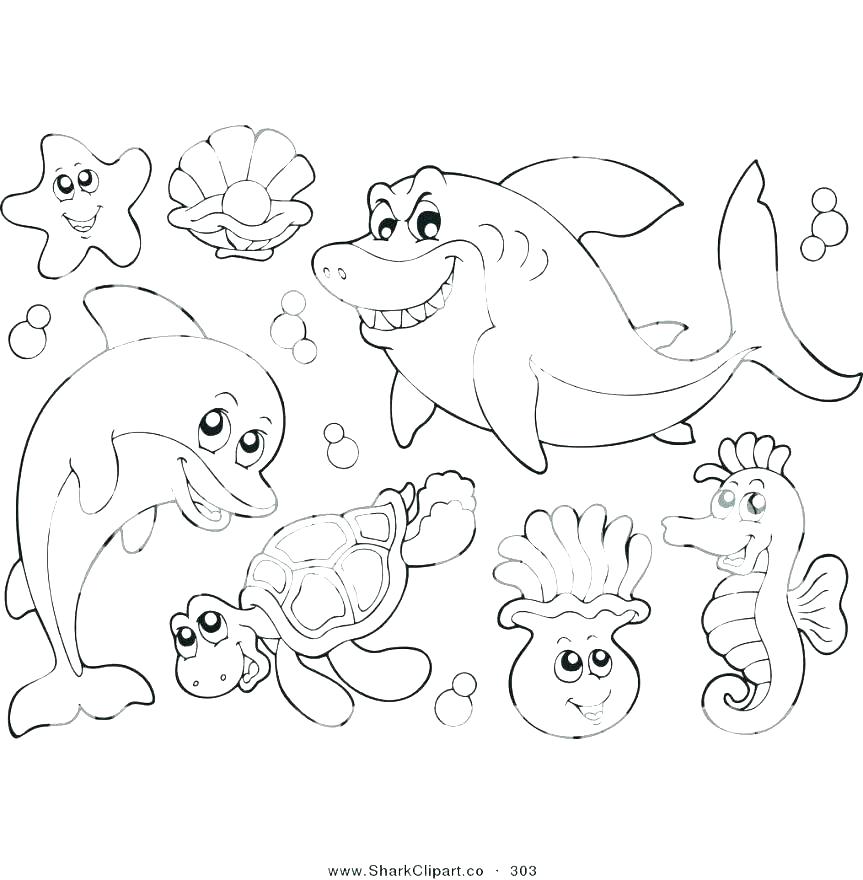 863x880 Anaconda Coloring Pages Snake Coloring Page Snake Color Page