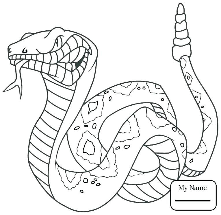 765x743 Reptile Coloring Pages Reptiles Coloring Pages Reptiles Coloring