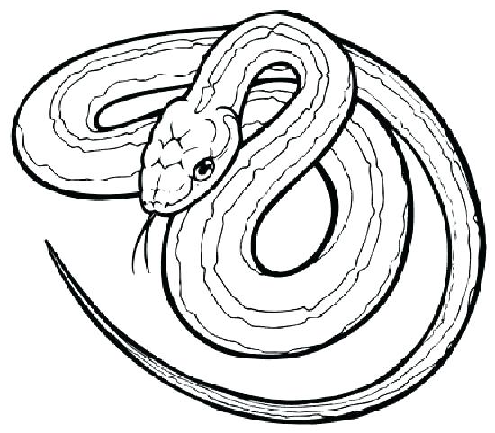 550x482 Snake Coloring Page Snake Coloring Page King Cobra Snake Coloring