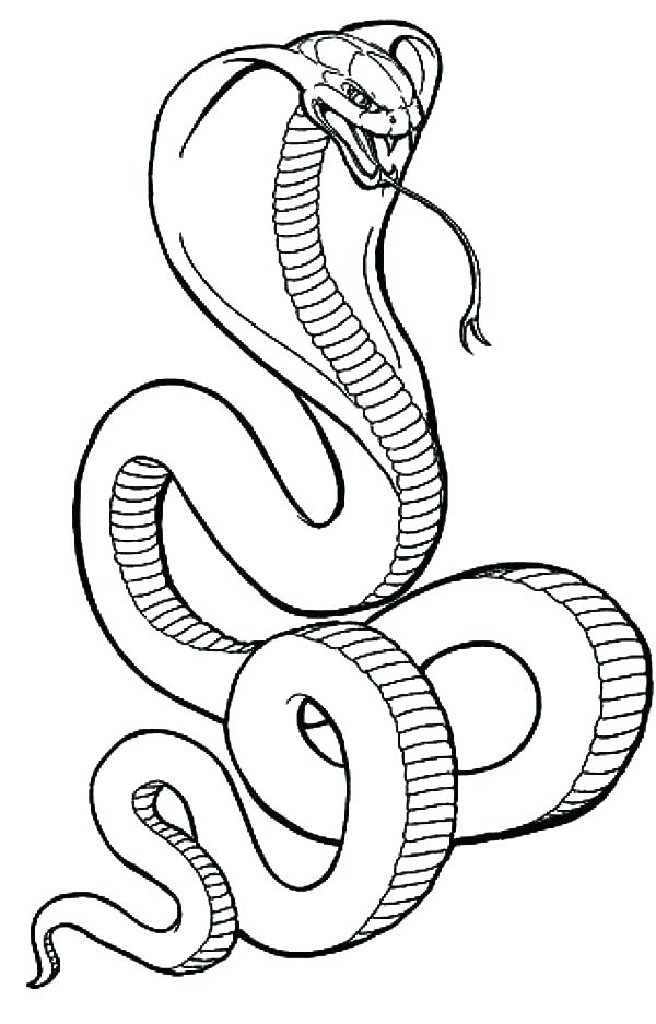600x937 Snake Coloring Pages Coloring Pages Snakes Coloring Pages Snakes