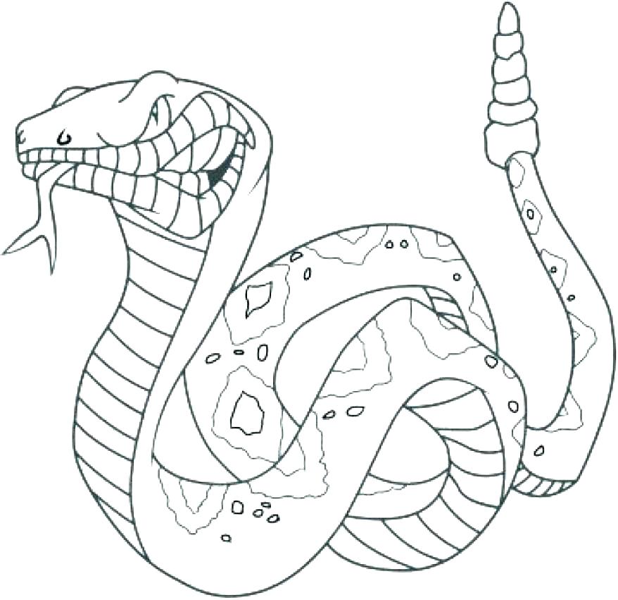 878x853 Snake Coloring Pages Free Snake Coloring Pages Cobra Snake