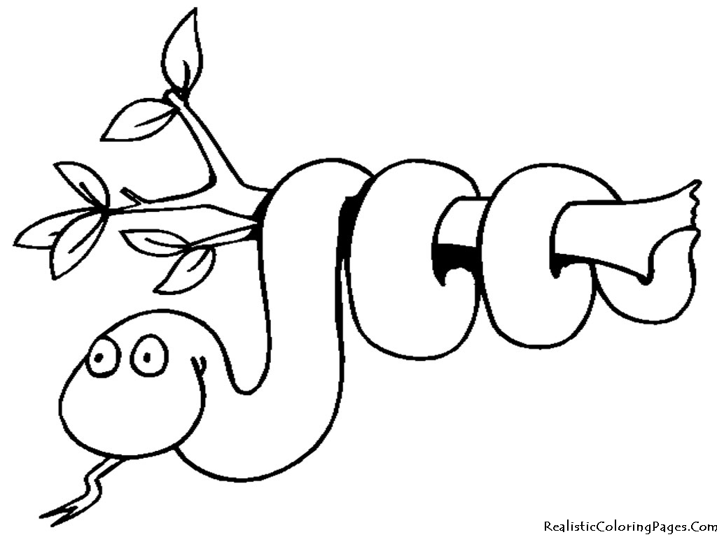 1024x768 Cartoon Snake Coloring Pages