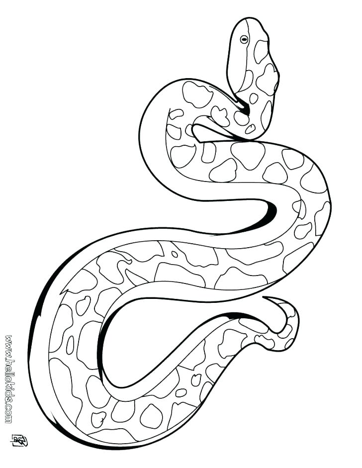 728x941 Coloring Pages Of Snakes Coloring Pages Of Snakes Also Cartoon