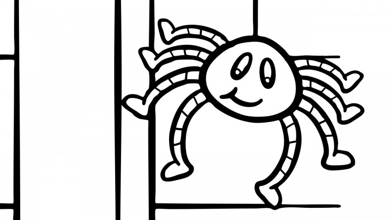 Itsy Bitsy Spider 800x450 Itsy Bitsy Spider