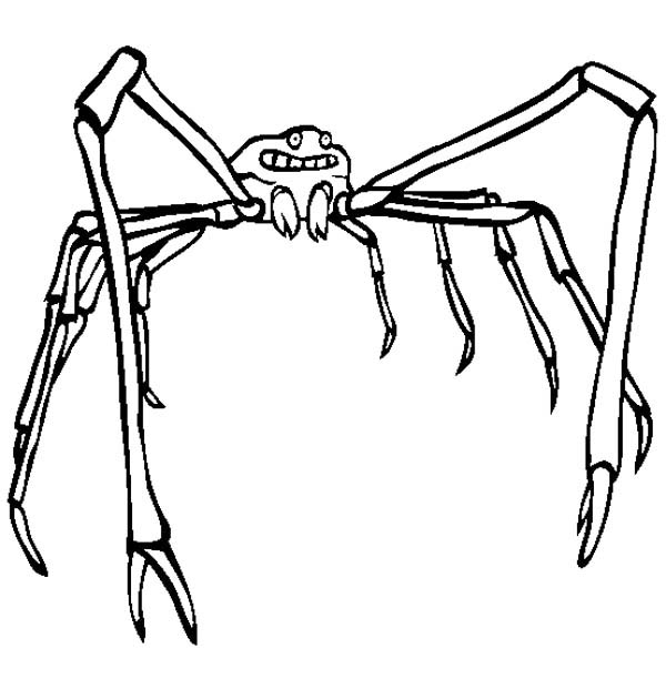 Japanese Spider Crab Coloring Page Color Luna 600x612 Japanese Spider Crab Coloring Page Color Luna