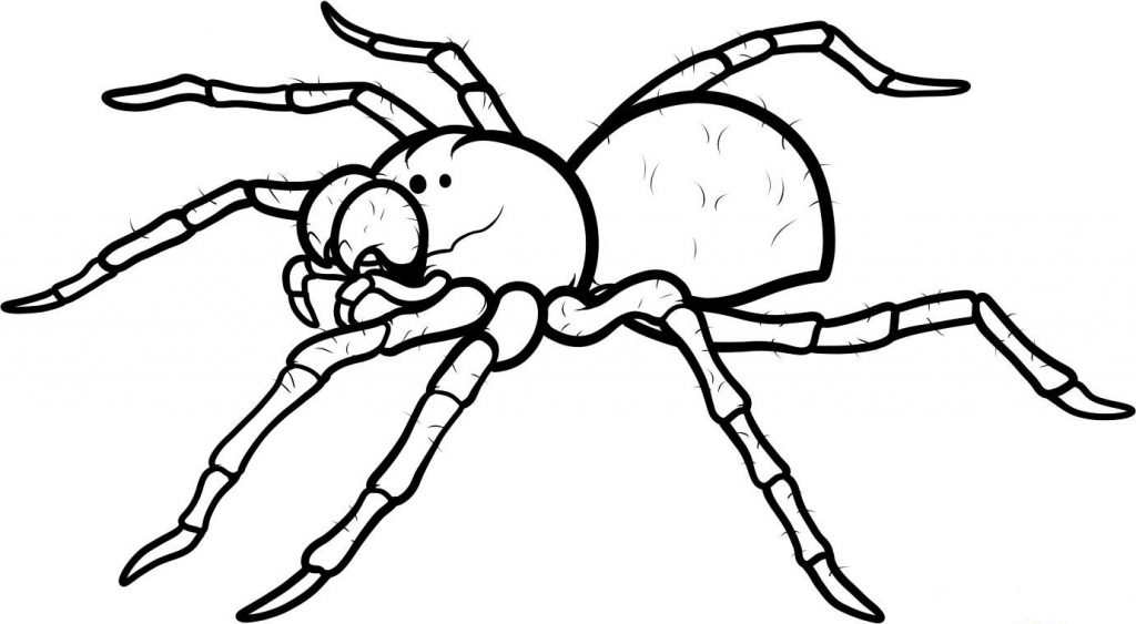 Printable Spider Coloring Pages Animals Page Free Web Halloween 1024x563 Printable Spider Coloring Pages Animals Page Free Web Halloween