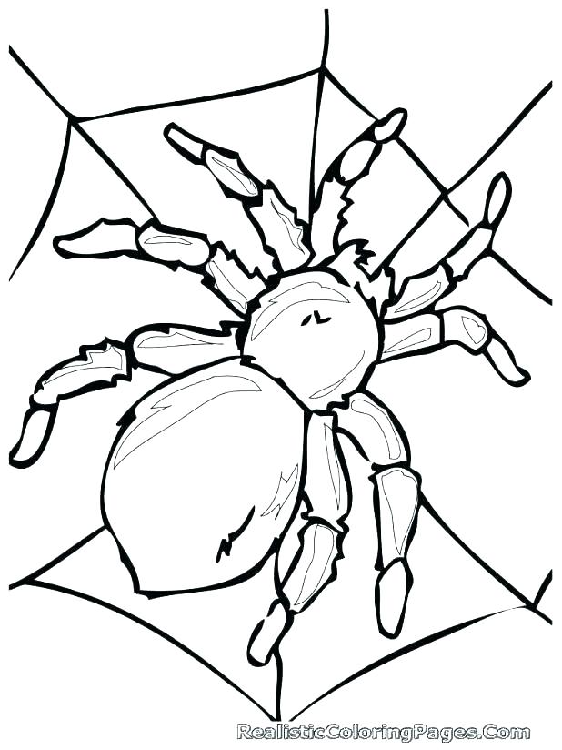 Spider Coloring Page Black White Cartoon Spider Coloring Page 618x824 Spider Coloring Page Black White Cartoon Spider Coloring Page