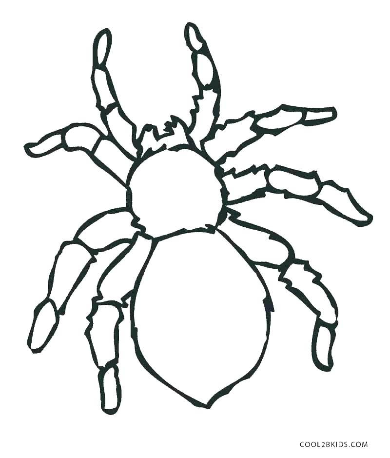 Cartoon Spider Coloring Pages at GetColorings.com | Free printable ...