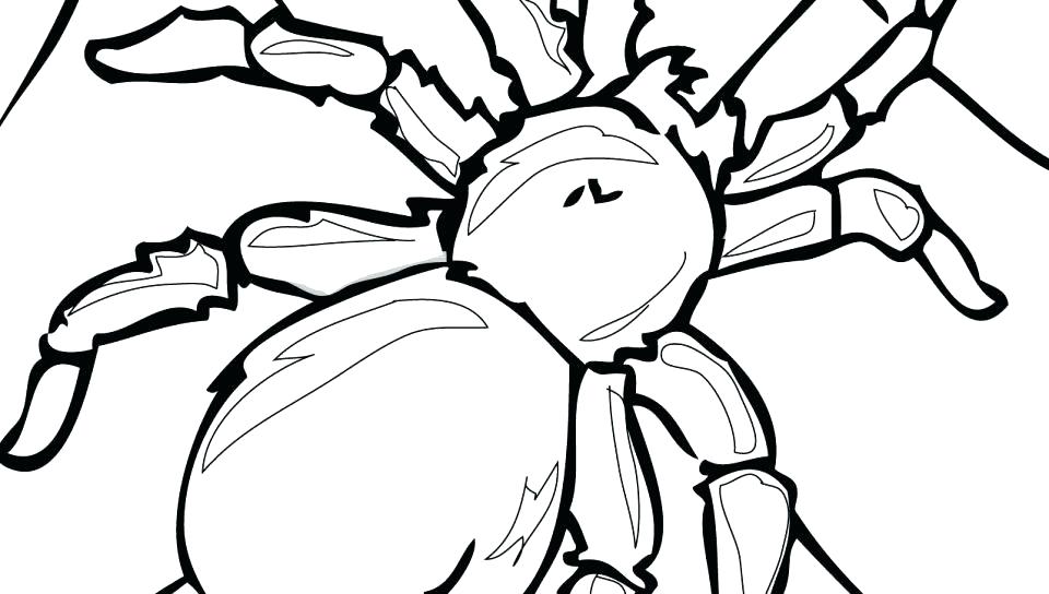 Spider Coloring Pages Coloring Pages Animals Free Cartoon Spiders 960x544 Spider Coloring Pages Coloring Pages Animals Free Cartoon Spiders