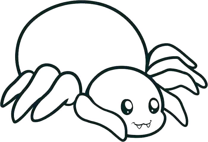 Spider Web Coloring Pages Cartoon Spiders Pictures Spider Web 700x480 Spider Web Coloring Pages Cartoon Spiders Pictures Spider Web