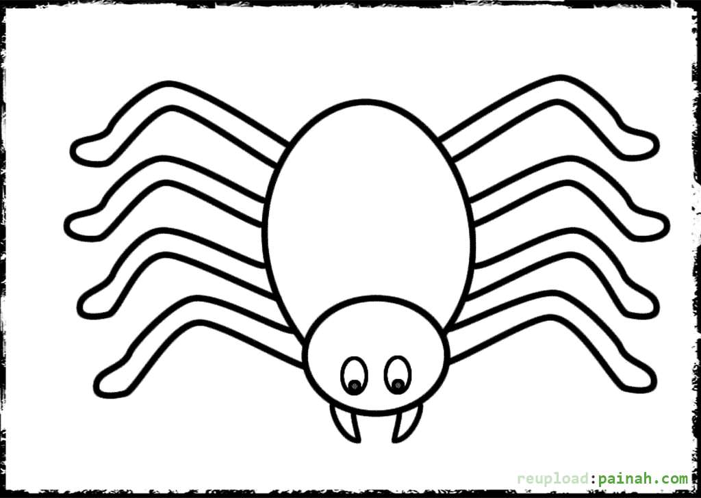 Spider Coloring Pages To Download And Print For Free 1024x728 Spider Coloring Pages To Download And Print For Free
