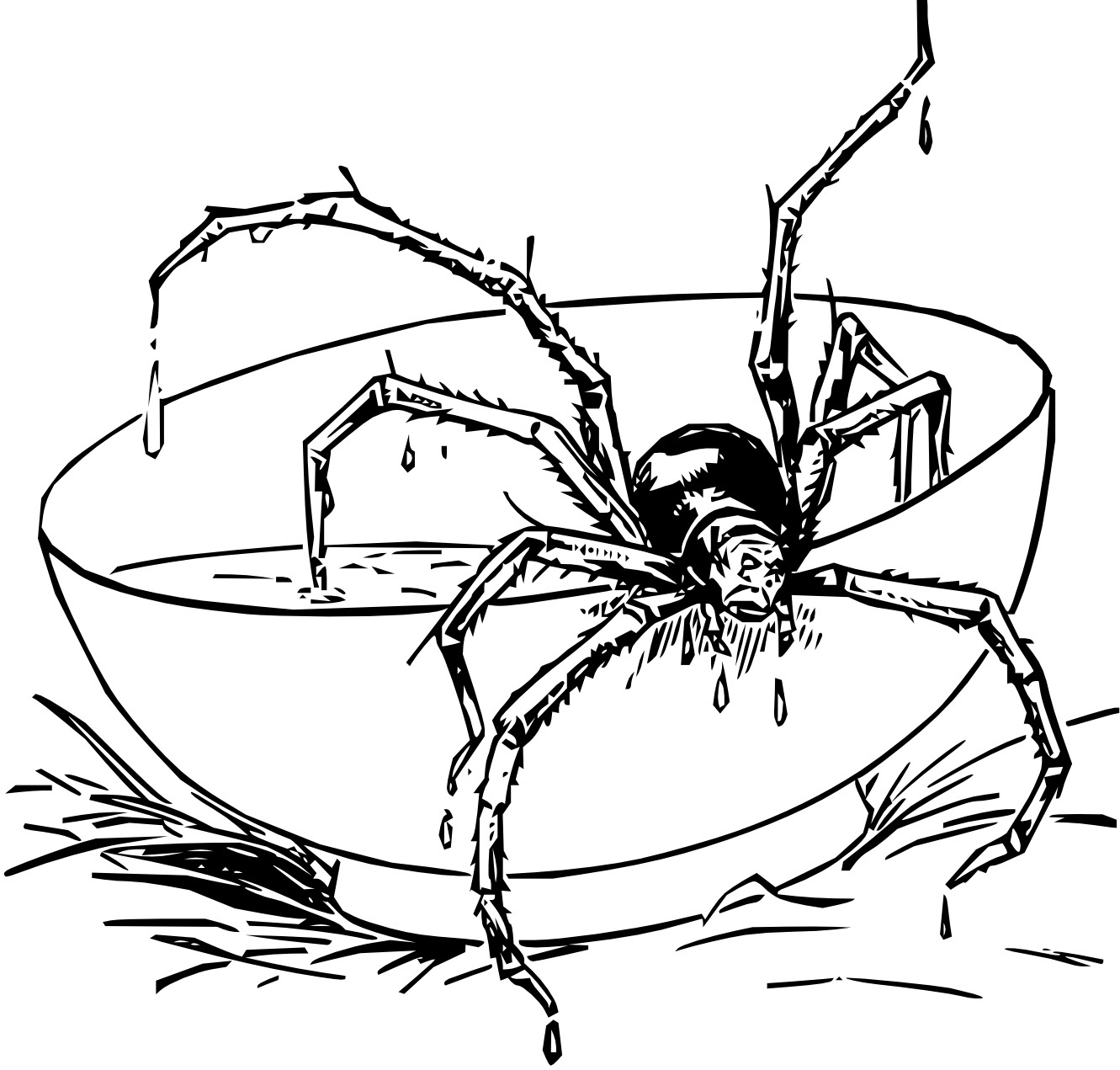 Cartoon Spider Bug Coloring Pages Collection Coloring Sheets 1331x1271 Cartoon Spider Bug Coloring Pages Collection Coloring Sheets
