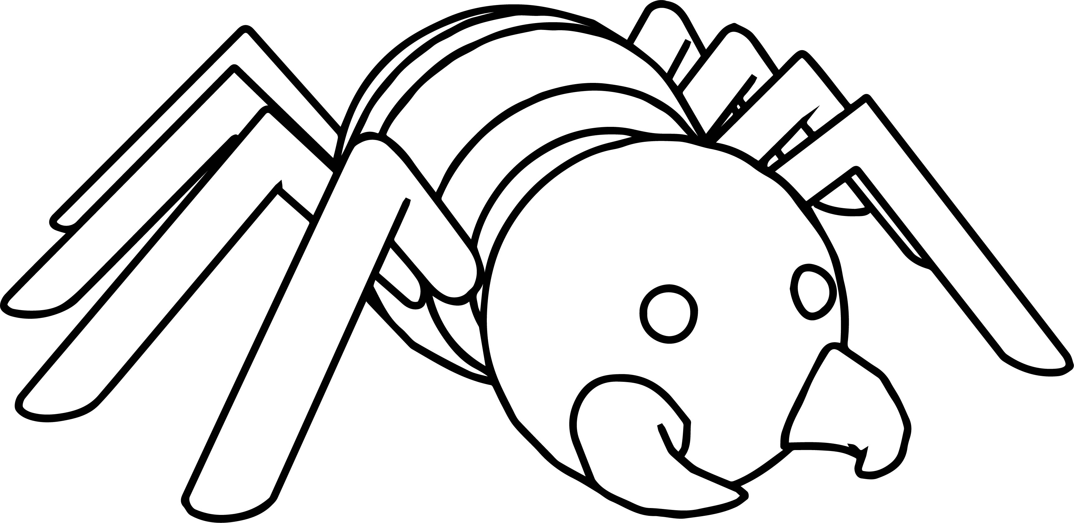 Comic Cartoon Spider Coloring Page Wecoloringpage 3446x1678 Comic Cartoon Spider Coloring Page Wecoloringpage