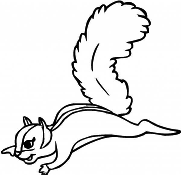 Flying Squirrel Coloring Page 600x580 Flying Squirrel Coloring Page