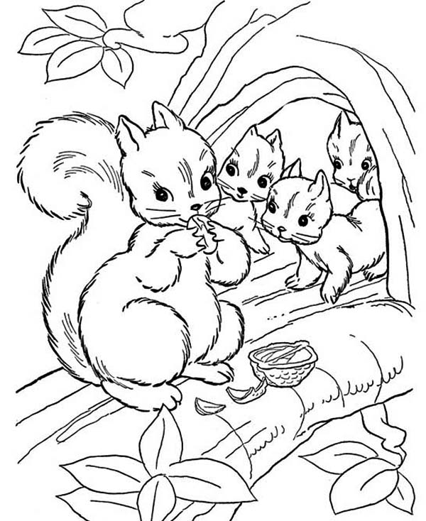 Free Coloring Pages Of Squirrels 600x734 Free Coloring Pages Of Squirrels