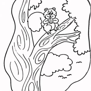 Free Download Cartoon Squirrels Coloring Pages 308x308 Free Download Cartoon Squirrels Coloring Pages