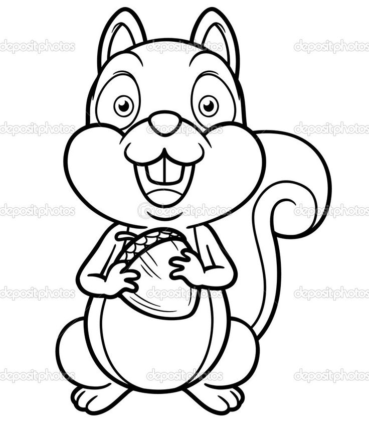 Free Coloring Pages Of Cute Picture Of A Squirl, Cute Squirrel 736x841 Free Coloring Pages Of Cute Picture Of A Squirl, Cute Squirrel