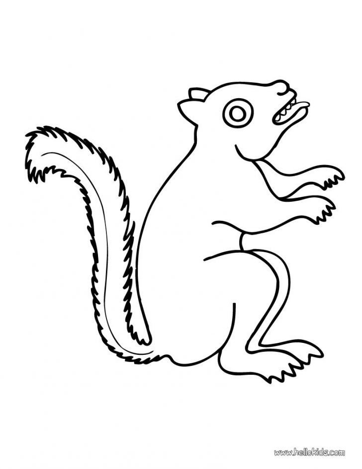 Printable Squirrel Coloring Pages For Kids Page Animal Cartoon 728x941 Printable Squirrel Coloring Pages For Kids Page Animal Cartoon