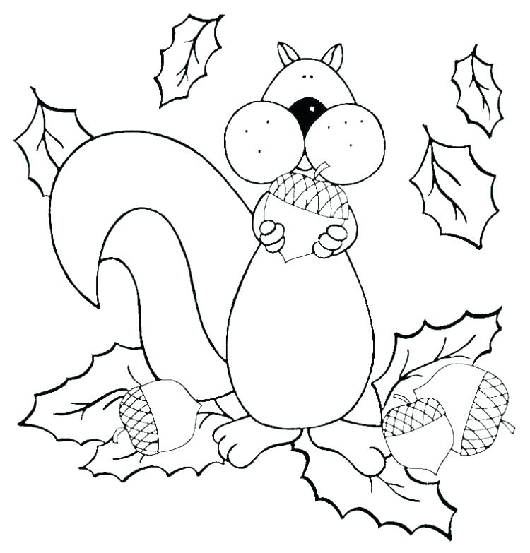 Squirrel Coloring Pages 750x783 Squirrel Coloring Pages