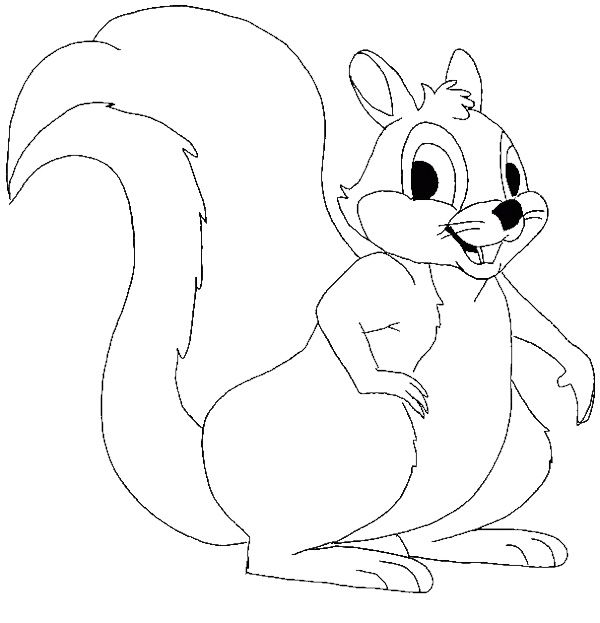 Cartoon Squirrel Coloring Pages Pattern Design Ideas 600x623 Cartoon Squirrel Coloring Pages Pattern Design Ideas